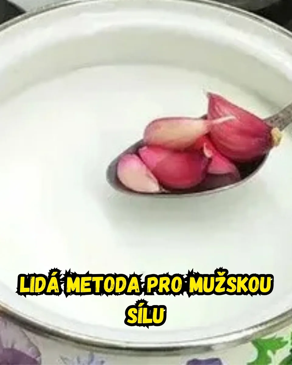 Přírodní vyživovací doplňky a potraviny