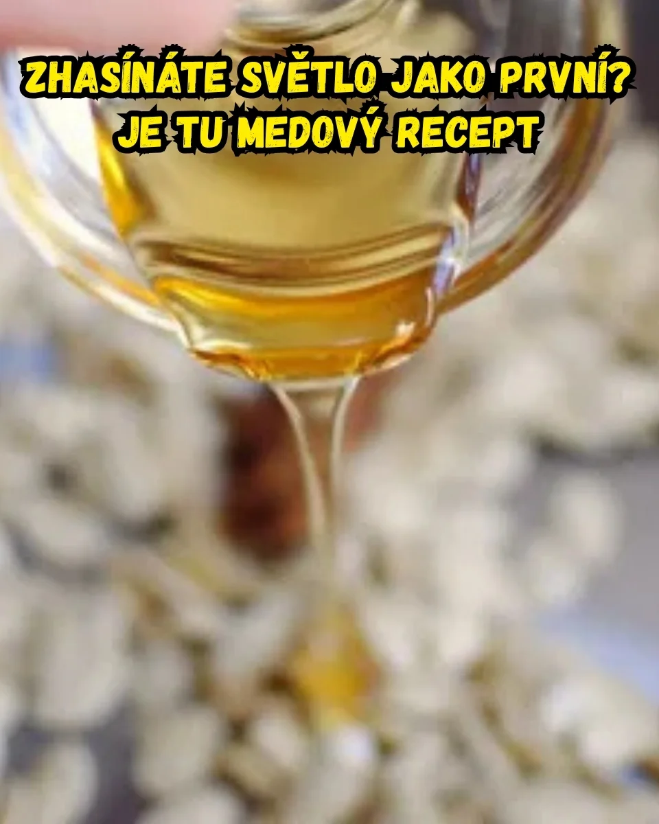 Detoxikace a čistění organismu